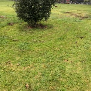 Meet your Posher, Lloyd